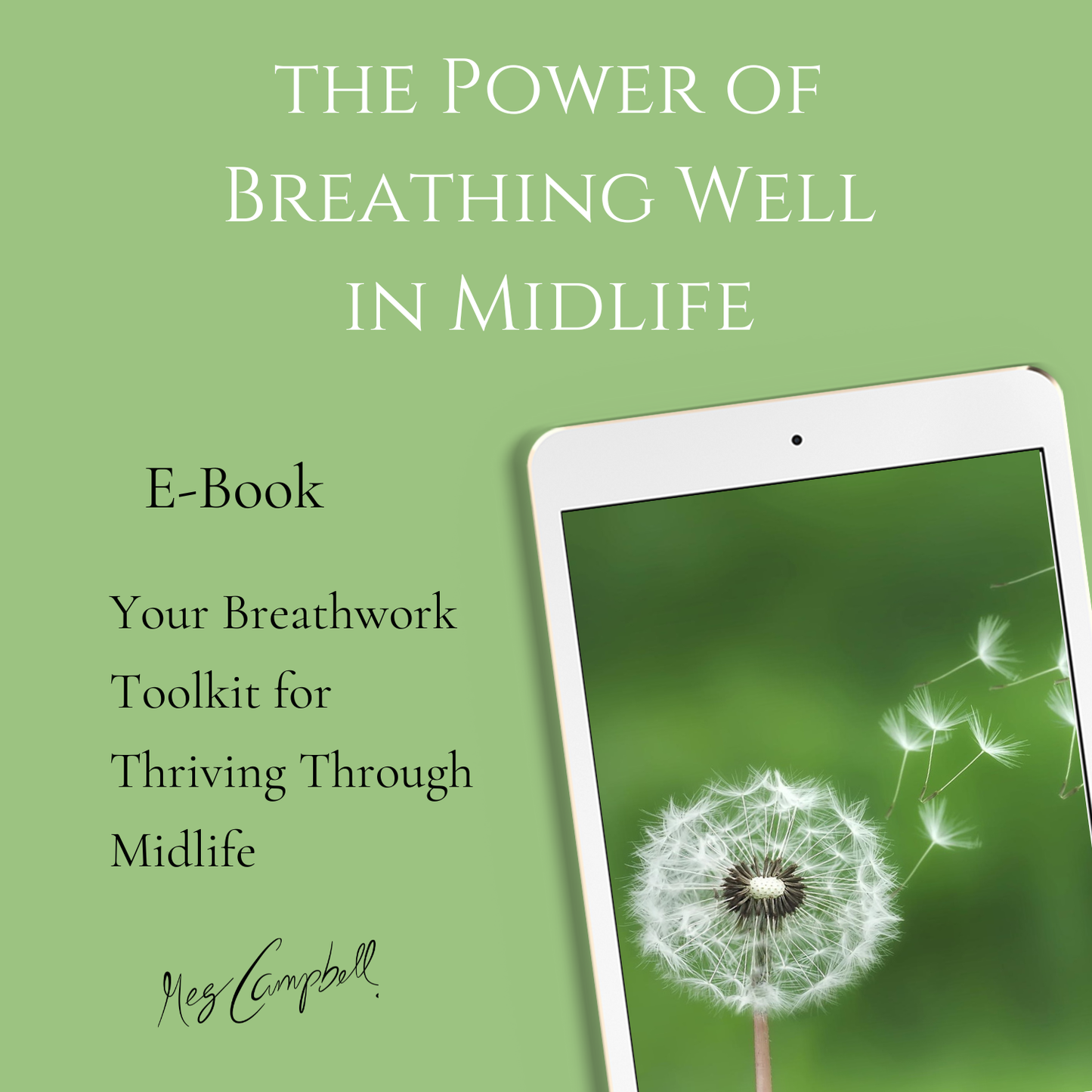 The Power of Breathing Well in Midlife - Digital Download (PDF)